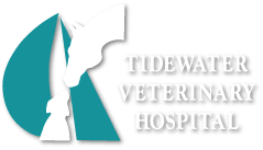 Tidewater Veterinary Hospital